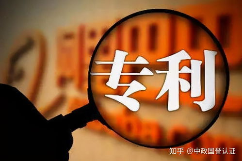 政府采购风险项 限定或指定专利 品牌商标或供应商作为加分条件